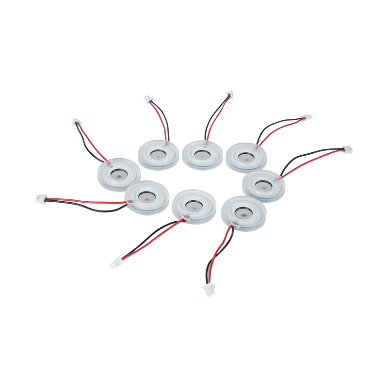 Placa de nebulização microporosa de Φ16mm Cerâmica piezoelétrica Grande volume de névoa Aquecedor Placa de nebulização Difusor Placa de orifício de pulverização Placa de nebulização de malha